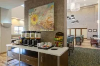 Hampton Inn & Suites Woodward فنادق في وودوارد