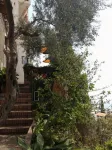 Villa Greta Hotel Rooms & Suites Hotel a Castelmola