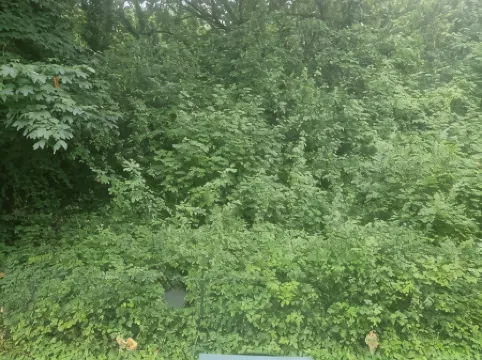 Immaculate 1-Bed Apartment in Woodford Green