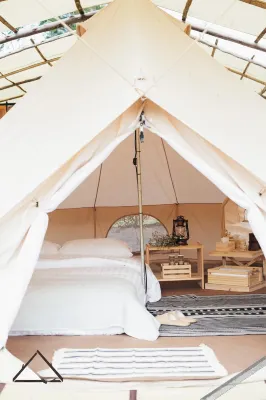 Campiness Camping & Farmsook - Wifi