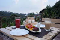 Just Naturals Wellness Resort Nainital