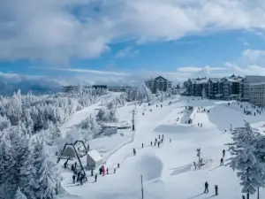 Stroll to Slopes, Village Area, Ski in-Out MtLodge 308