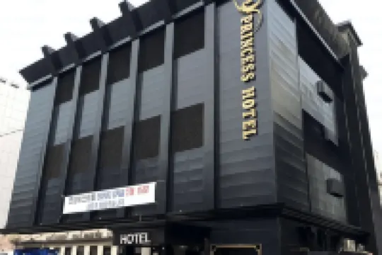Princess Hotel Hotels near Dosan Park