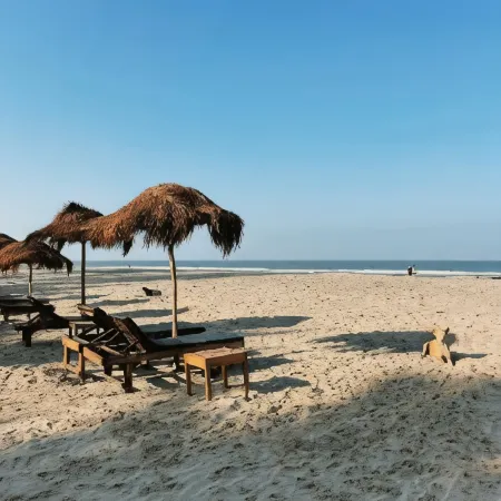 Palm Grove Beach Resort