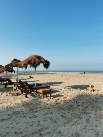 Palm Grove Beach Resort