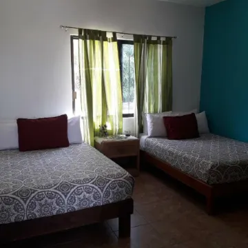 Habitación El Cactus