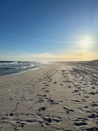 Hamptons Oasis with Pool, Spa, Outdoor Shower, FirePit. Walking distance 2 Beach