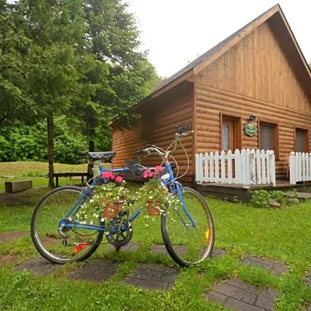 Auberge Alpine Inn Отели в г. Сент-Адель