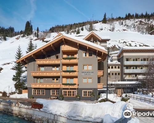 Hotel Edelweiss Hotels in Gerlos