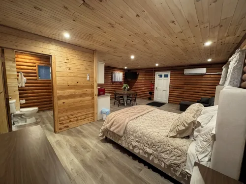 Peaceful log cabin on a back gravel road with private deck and amenities of home