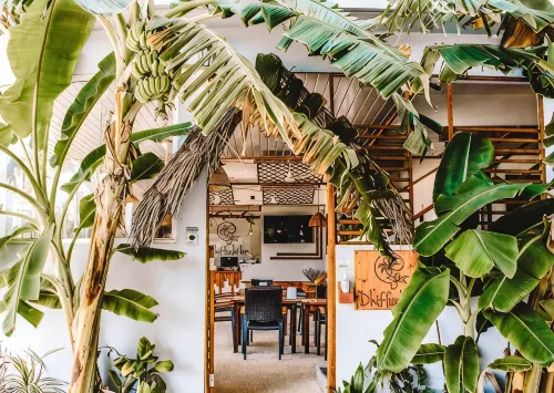 Dhiffushi Inn