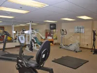 Monte Carlo Inn Vaughan Suites - Kuntosalit