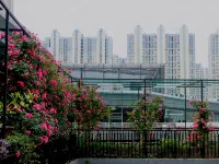 Rose Art Hotel (Ningbo Beilun Yintai City Store) Hotels in Beilun District