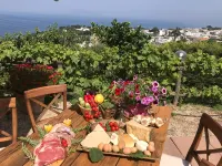 Agriturismo del Sole - Cho phép mang theo thú cưng