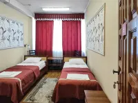 Smart Hotel Miass Hotel ミアースのホテル