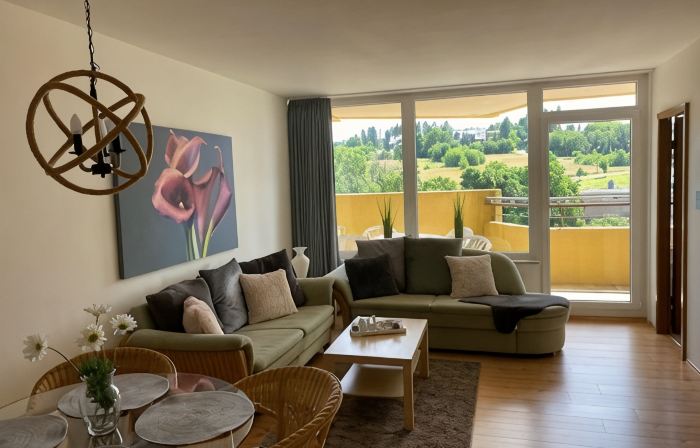 Panoramic Apartments Hohegeiß