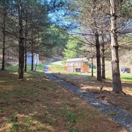 Gavin Cabin
