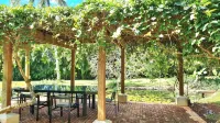 Walk to the beach from Tropical luxury Villa. Hotels in 