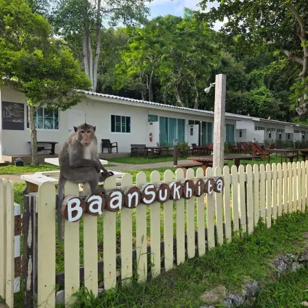 Baansukhita