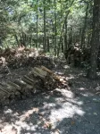 Wolf Den Cabin of Pomme de Terre - Feriehus