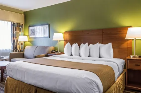 Quality Inn Flamingo