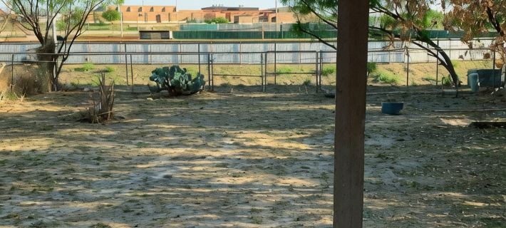 3-bedroom house in beautiful Eagle Pass with WiFi Hoteles en Eagle Pass