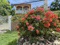 YanceyLargoEstate 2Br Villa w/Mountain Views by RedAwning -  Holiday Villas