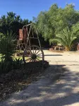 Little River Bed and Breakfast - 3-Star