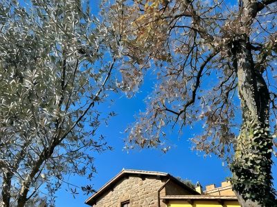 Podere la Branda BioAgriResort