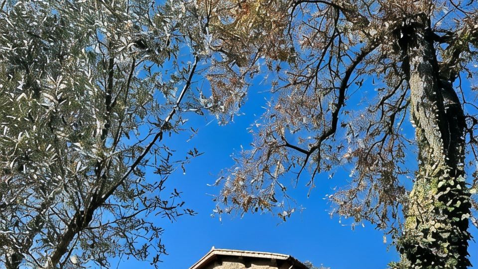 Podere la Branda BioAgriResort