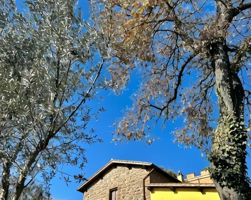 Podere la Branda BioAgriResort Hotels in Vetralla