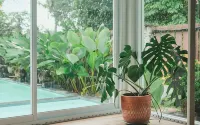 Villa Prambanan Jogja with Private Swimming Pool by Simply Homy - Villas