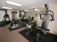 Best Western Plus Toronto Airport Hotel - Gym