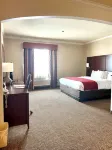 Comfort Suites Texas Ave