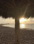 Vacay Getaway! Cozy Coastal South Bay Blue Bungalow - 3-نجوم