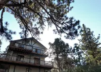 Top-Rated Treehouse Retreat with Hot Tub & Mountain Views, Pet Friendly - 2-Star