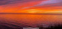 Expansive Ocean View: Private Balcony, Pool, Elevator & Executive Office
