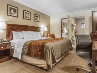 Comfort Inn Hotels in Santa Cruz
