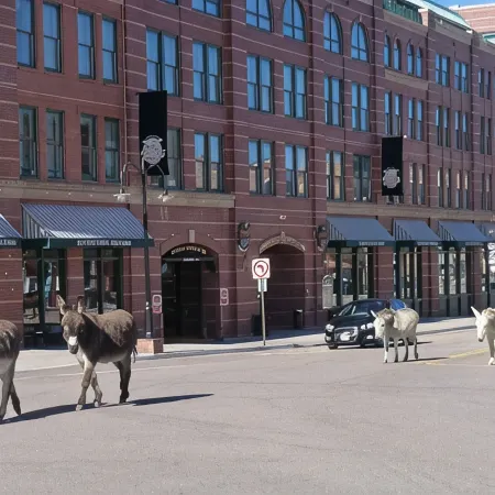 Cripple Creek Beauty