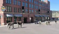 Cripple Creek Beauty - 3つ星