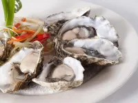 Best Western Plus All Settlers Motor Inn - Motels