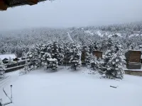 Cozy apartment in La Molina