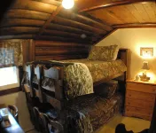 Log Cabin Adirondack Lodge on State Trail System   That is “PET FRIENDLY” - Wifi