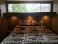 Beautiful Home on Pine Creek Backs up to Lyman Run State Park & the PA Wilds!!!! - 3-Star