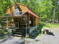 Primitive Cozy Tiny Cabin with Starlink Internet - 2-Star