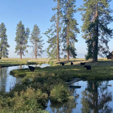 The Cabin on Crooked Creek