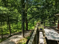 Our creekside cabin is nestled deep in the country on a secluded lane. - 3-Star