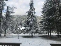 3 Bedroom Chalet at the Base of Schweitzer - Wifi