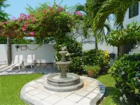 Hotel Pez Vela - 2-Star