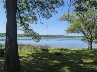 Reeds On Bar Lake - 3-Star